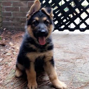 Meet your Posher, Alicia